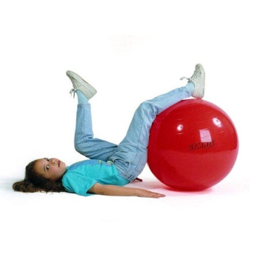 21399 - Bobath Ball Ø 55 cm