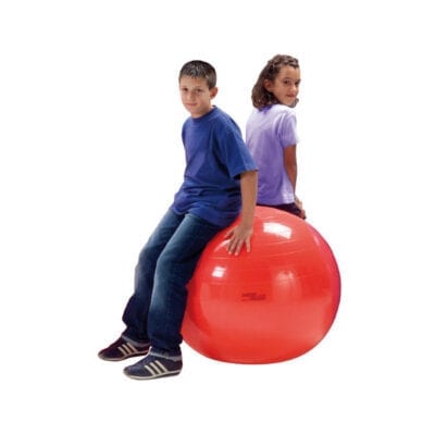 21402 - Bobath Ball Ø 85 cm